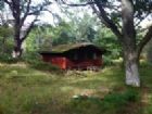 Pine Martin Cottage