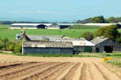 Bogside of Boath, by Nairn